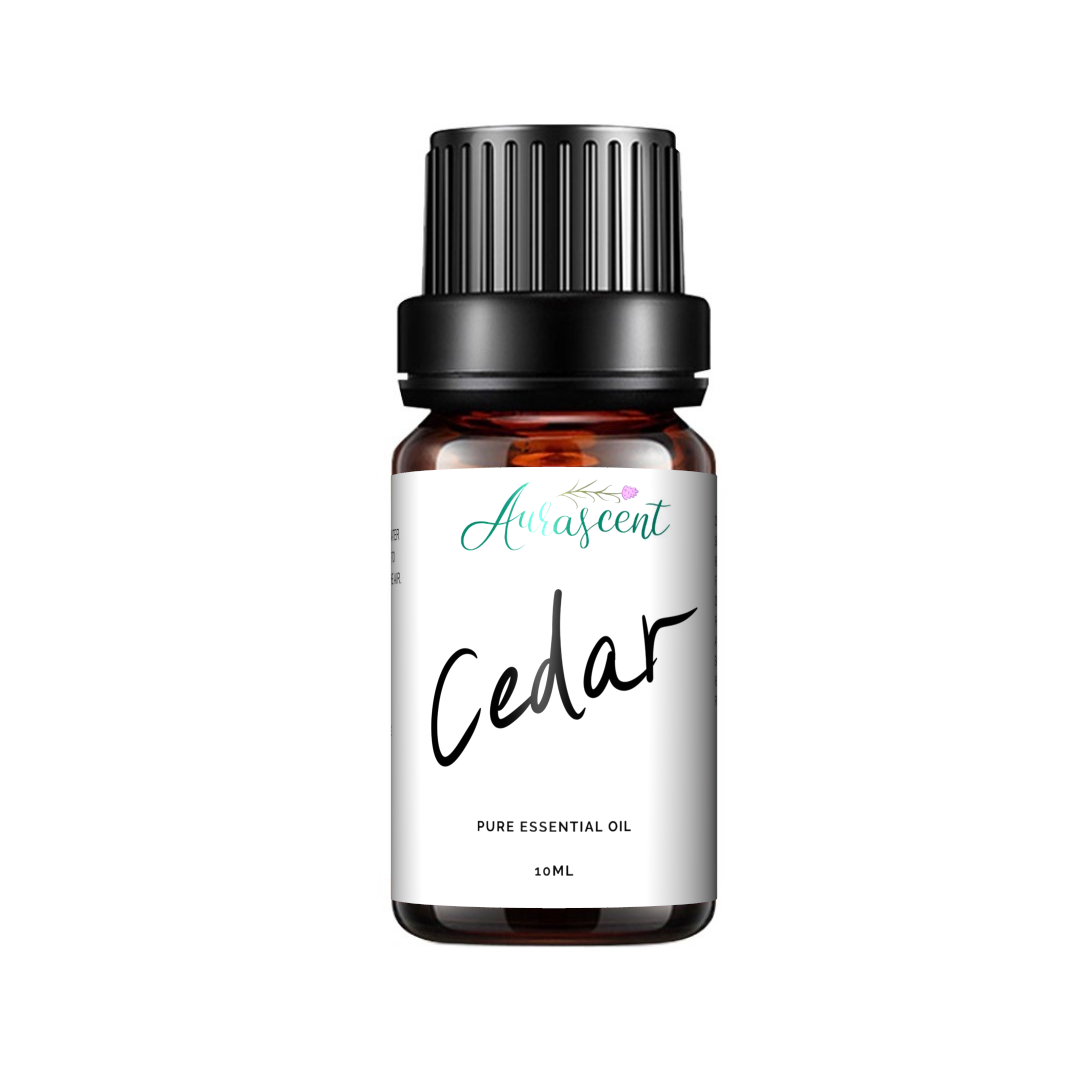A 10ml bottle of Aurascent Cedar Essential Oil with a natural wood and greenery background, showcasing the product.