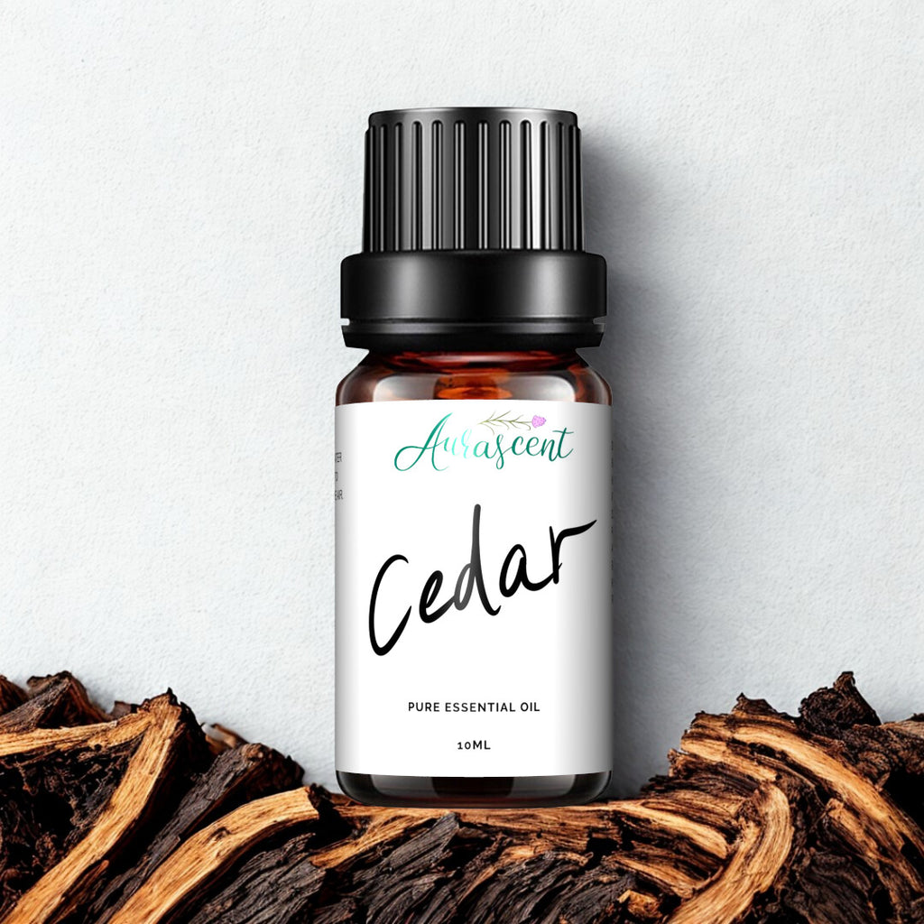 A 10ml bottle of Aurascent Cedar Essential Oil with a clear label, surrounded by cedarwood wood chips and leaves.