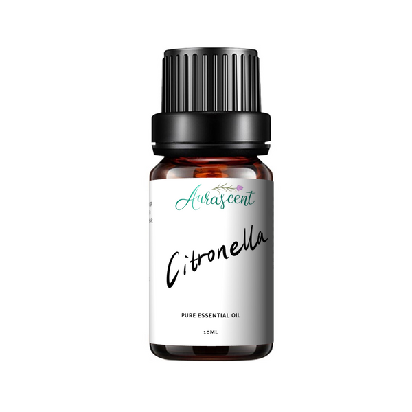 Aurascent Citronella Essential Oil 10ml bottle with dropper, showcasing the amber glass bottle and label.