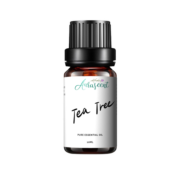 A 10ml bottle of Aurascent Tea Tree Essential Oil with a white label and dropper cap, placed on a wooden surface.